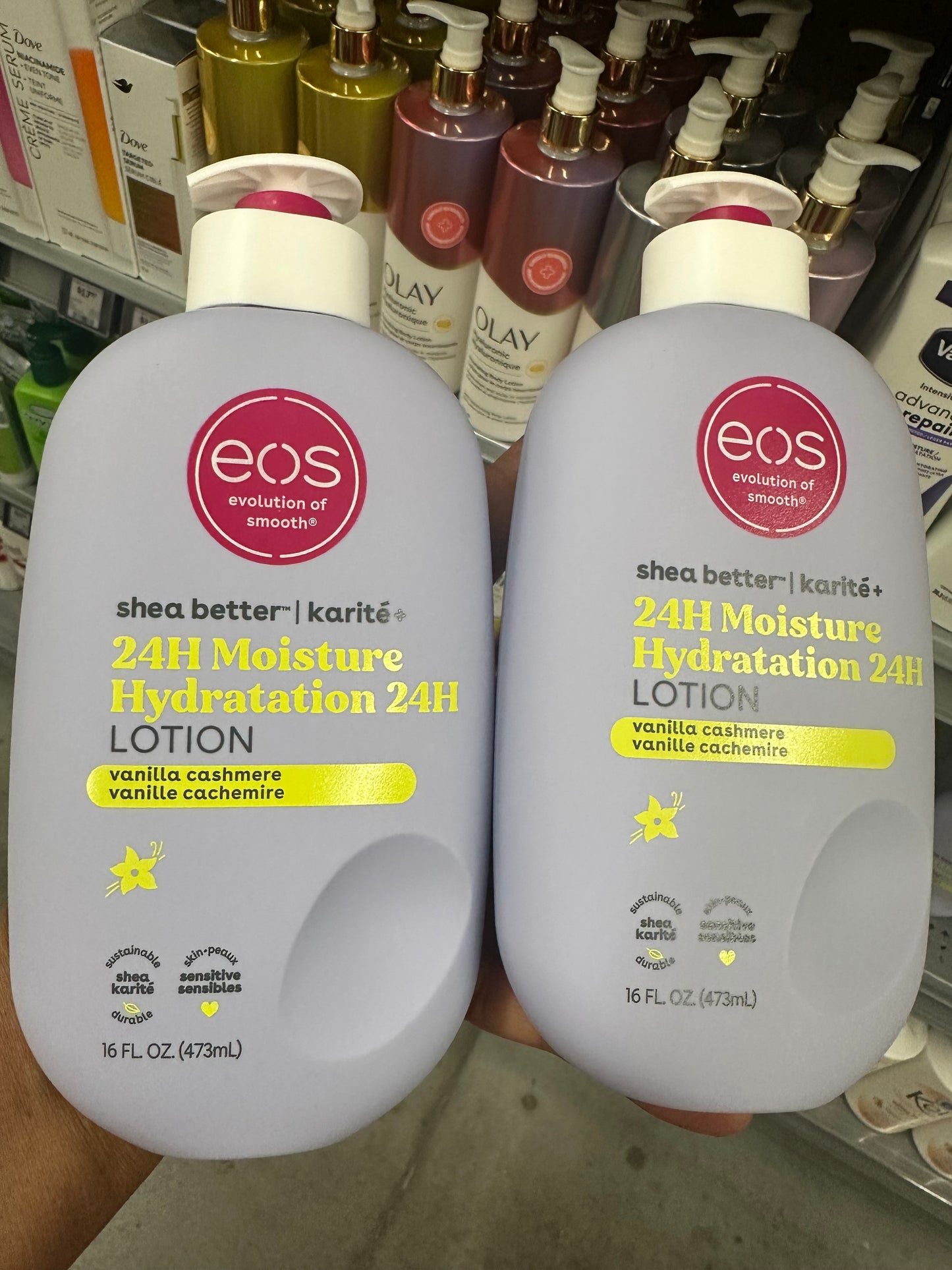24HOURS   MOISTURE